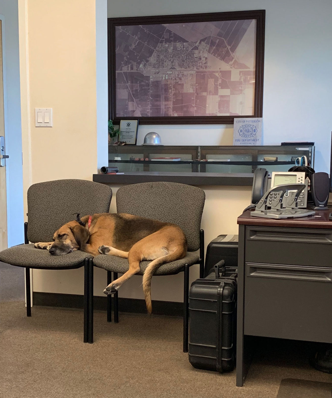Grady Makes Himself at Home